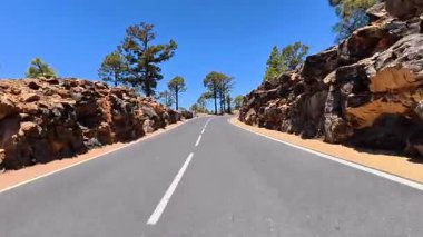 Güzel, dolambaçlı bir yol kayalık oluşumlar ve canlı mavi gökyüzünün altında yemyeşil çam ağaçları ile çevrilidir.