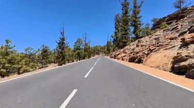 Canlı, mavi bir gökyüzünün altındaki ağaçlarla çevrili nefes kesici ve resimli bir dağ yolu sizi bekliyor.