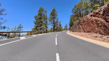 Büyüleyici bir manzara, açık mavi gökyüzünün altında verimli çam ağaçlarıyla çevrili dolambaçlı bir yolu gösteriyor.