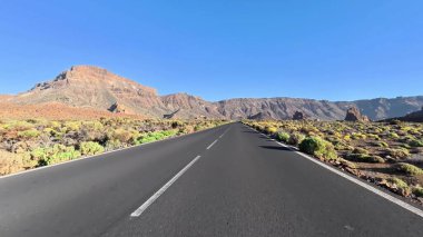 Güzel bir yol, görkemli dağlar ve canlı çiçeklerle çevrili, pitoresk bir çölde esiyor.