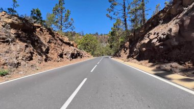 Uzun çam ağaçları ve açık mavi gökyüzünün altındaki kayalık uçurumlarla çevrili dolambaçlı bir yol manzarası..