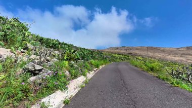 İnanılmaz güzel bir yol, berrak mavi gökyüzünün altındaki çarpıcı, gür manzaralarda zarafetle dönüyor.