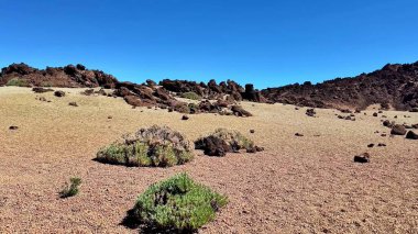 Açık mavi gökyüzüne karşı kayalık oluşumlar ve yeşillik içeren kurak bir manzaranın çarpıcı bir görüntüsü..
