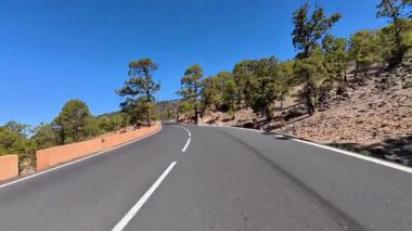 Ağaçlarla dolu büyüleyici bir dağ yolu sizi ilerideki macerayı keşfetmeye ve kucaklamaya davet ediyor.