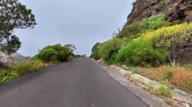 Güzel ve huzurlu bir dağ yolu manzarası yemyeşil ve sarp kayalıklarla kaplı.