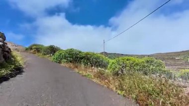 Nefes kesici güzellikte manzaralar sergiliyor. Canlı bitki örtüsü ve yuvarlanan tepelerle çevrili dolambaçlı bir yol.