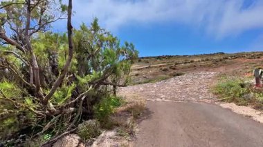 Etrafı yemyeşil ve nefes kesici manzaralarla çevrili güzel bir çöl yolunu keşfedin.