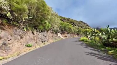 Etrafı canlı yeşilliklerle ve engebeli arazilerle çevrili dolambaçlı bir yolda maceraya atılmak deneyimi güçlendirir.