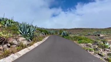 Sakin ve dolambaçlı bir yol, sakin bir gökyüzünün altında, doğa severler ve maceracılar için ideal.