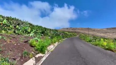 İnanılmaz güzel bir yol, berrak mavi gökyüzünün altındaki çarpıcı, gür manzaralarda zarafetle dönüyor.