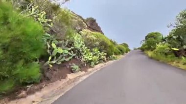 Virajlı bir yolun manzarası canlı yeşilliklerle dolu. Huzur arayan doğa aşıkları için ideal.