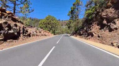 Uzun çam ağaçları ve açık mavi gökyüzünün altındaki kayalık uçurumlarla çevrili dolambaçlı bir yol manzarası..