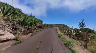 Güzel ve dolambaçlı bir yol berrak, mavi gökyüzünün altında canlı kaktüslerle çevrilidir.
