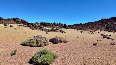 Açık mavi gökyüzüne karşı kayalık oluşumlar ve yeşillik içeren kurak bir manzaranın çarpıcı bir görüntüsü..