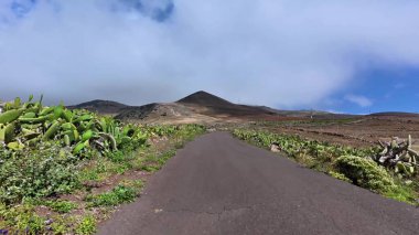 Hayat dolu bitki örtüsü ve faunasının yanında çarpıcı doğa manzarası sunan güzel ve manzaralı bir dağ yolu.