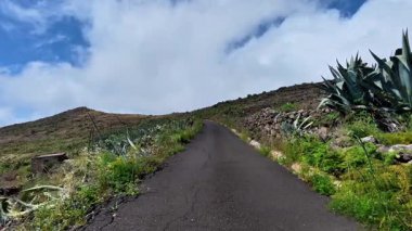 Bereketli yeşil ve açık mavi gökyüzü tarafından çevrelenmiş canlı bir dağ yolunda bir yolculuğa çıkın.