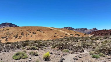 Uçsuz bucaksız, kuru bir manzaranın çarpıcı panoramik manzarası. Yuvarlanan tepeler, dağınık çalılar ve berrak, mavi bir gökyüzü.
