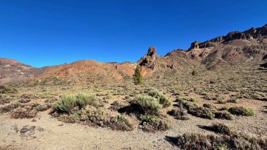 Parlak mavi gökyüzünün altında kayalık arazi ve yemyeşil bitki örtüsü nefes kesici ve çarpıcı bir manzara var.