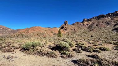 Parlak mavi gökyüzünün altında kayalık arazi ve yemyeşil bitki örtüsü nefes kesici ve çarpıcı bir manzara var.