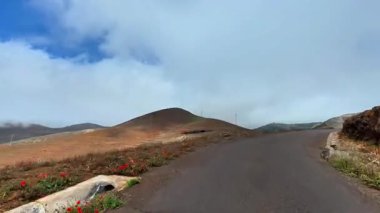 Görkemli dağlarla, canlı çiçeklerle ve büyüleyici sisli gökyüzüyle çevrili manzaralı bir yol hayal et.