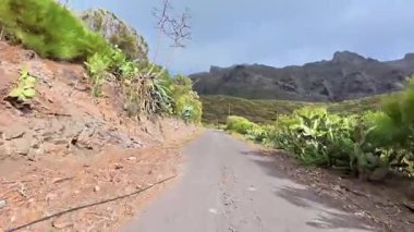 Bereketli, canlı yeşil ve bulutlu gökyüzünün altındaki görkemli dağların arasından huzurlu ve huzurlu bir yolculuk.