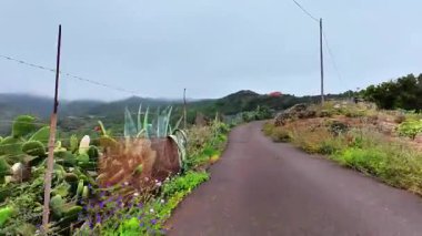 Bereketli yeşil ve sisli dağların ortasındaki dolambaçlı kırsal yolun nefes kesici manzarası.