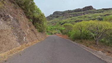 Canlı yeşillikler ve çarpıcı tepelerle çevrili sakin bir köy yolunda sakin bir gezinti yapın.