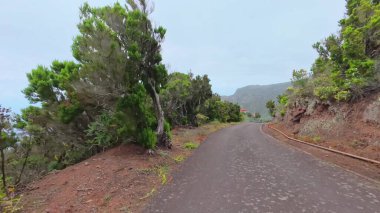 Canlı bitki örtüsü ve nefes kesici dağ manzarasıyla süslenmiş dolambaçlı bir yolda yolculuğa çıkın.