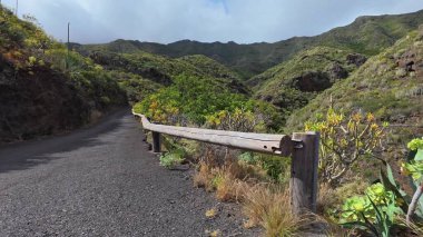 Şaşırtıcı derecede güzel bir dağ yolu. Canlı bitkilerle kaplı. Huzurlu ve huzurlu bir atmosfer sunuyor.