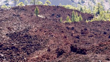 Yeşillik ve canlı bitkiler arasında lav kaya oluşumlarını içeren eşsiz volkanik arazinin büyüleyici bir görüntüsü.
