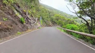 Bereketli yeşillikler ve yüksek kayalıklarla çevrili güzel, dolambaçlı bir dağ yolu doğa severler için mükemmeldir.