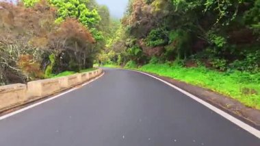 Canlı yeşillikler ve yemyeşil ağaçlarla çevrili dolambaçlı bir yol, doğa severler ve macera arayanlar için ideal.