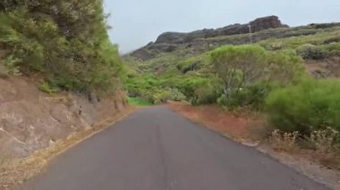 Canlı yeşillikler ve çarpıcı tepelerle çevrili sakin bir köy yolunda sakin bir gezinti yapın.