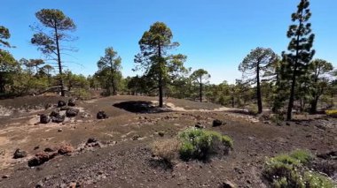 Berrak mavi gökyüzünün altında, dağınık ağaçlar ve canlı yeşilliklerle volkanik bir arazinin resimsel bir görüntüsü..