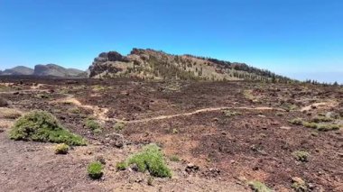 Geniş ve geniş bir lav alanı, engebeli arazisini, berrak mavi gökyüzünün altında yemyeşil, yemyeşil bir araziyle birlikte sergiliyor.