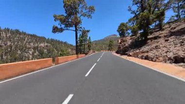 Görkemli dağların arasından geçen görkemli bir yol boyunca, yemyeşil, canlı ağaçlar ve açık mavi gökyüzü