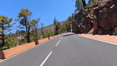 Etrafı canlı ve renkli ağaçlarla çevrili dolambaçlı bir dağ yolu boyunca nefes kesici manzaralar.