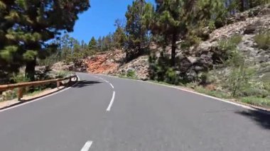 Göz kamaştırıcı ve güzel dolambaçlı bir yol. Etrafı uzun ağaçlar ve kayalık arazilerle çevrili. Açık mavi bir gökyüzünün altında.