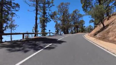 Etrafı tamamen yüksek çam ağaçlarıyla çevrili dolambaçlı bir yolun güzel ve manzaralı manzarası berrak mavi bir gökyüzünün altında