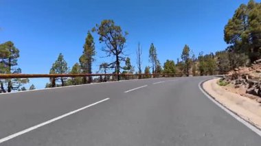 Dolambaçlı bir dağ yolunun, berrak mavi gökyüzünün altındaki yüksek ağaçlarla süslenmiş nefes kesici manzarası.