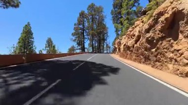 Bereketli çam ağaçlarıyla çevrili bu güzel, dolambaçlı dağ yolunda sürerken çarpıcı manzaranın tadını çıkar.