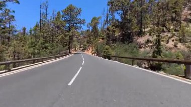 Güzel, dolambaçlı bir yol, berrak mavi bir gökyüzünün altında, canlı bir ormanın içinde zarifçe ilerliyor.