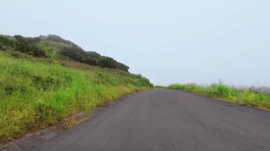 Sakin, dolambaçlı bir yol sisle kaplı, canlı yeşilliklerle çevrili, sakin kaçışlar için mükemmel..