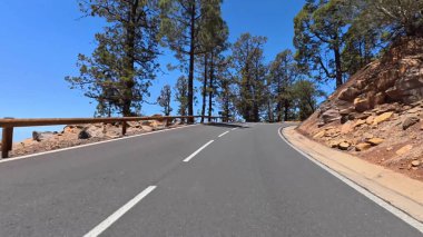 Etrafı tamamen yüksek çam ağaçlarıyla çevrili dolambaçlı bir yolun güzel ve manzaralı manzarası berrak mavi bir gökyüzünün altında