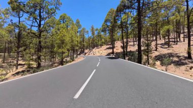 Berrak mavi gökyüzünün altında uzun ağaçların arasında gezinen dolambaçlı bir yolda hoş bir maceraya atılın.