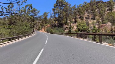 Güzel, dolambaçlı bir yol, berrak mavi bir gökyüzünün altında, canlı bir ormanın içinde zarifçe ilerliyor.