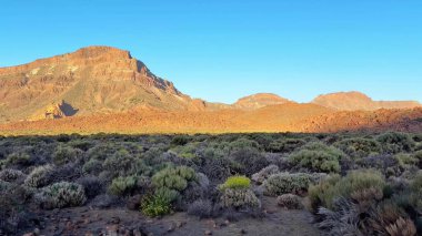 Nefes kesen çöl sahnesinde, etrafını saran görkemli dağlarla birlikte nefes kesen canlı renkler sergileniyor.