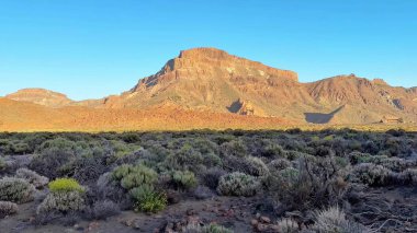 Nefes kesen çöl manzarası çarpıcı dağlık arazi güzelliğinin yanında nefes kesici bir bitki örtüsü sergiliyor.