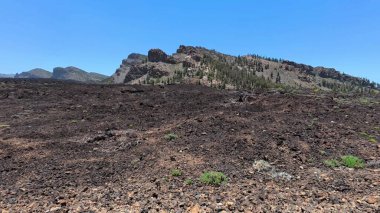 Siyah lav kayaları ve seyrek, dayanıklı bitki yaşamlarıyla karakterize edilmiş nefes kesici volkanik bir manzara.