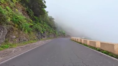 Bereketli yeşilliklerle kaplanmış sisli bir sahil yolunun nefes kesici ve huzurlu güzelliğini keşfedin.